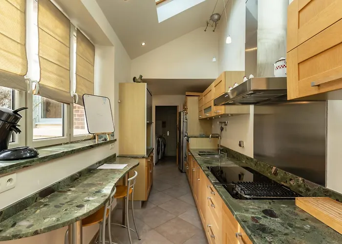 Jane'laur Magnificent Mansion With Garden 11 P * 翁弗勒尔